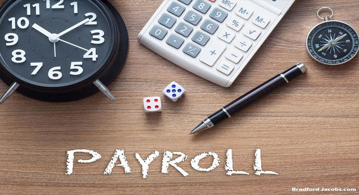 Growing Popularity of Online Payroll Solutions