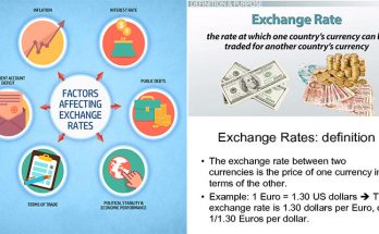 Understanding the Foreign Exchange Rate